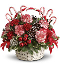 Candy Cane Christmas Cottage Florist Lakeland Fl 33813 Premium Flowers lakeland